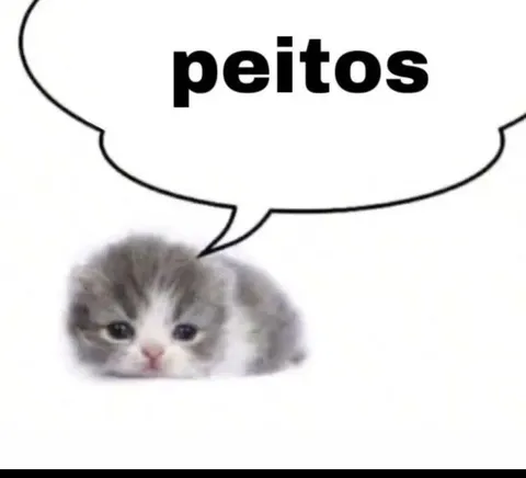 Gatinho pedindo peitos