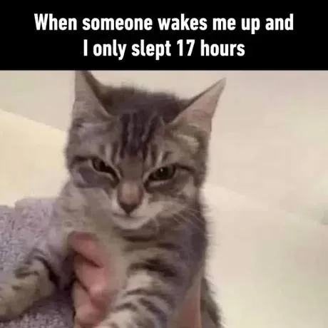 Cat Woken After 17 Hours