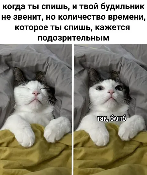 Подозрительно долгий сон