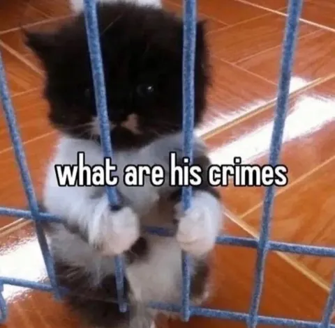 What Are His Crimes