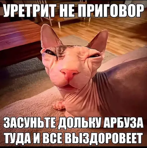 Уретрит не приговор