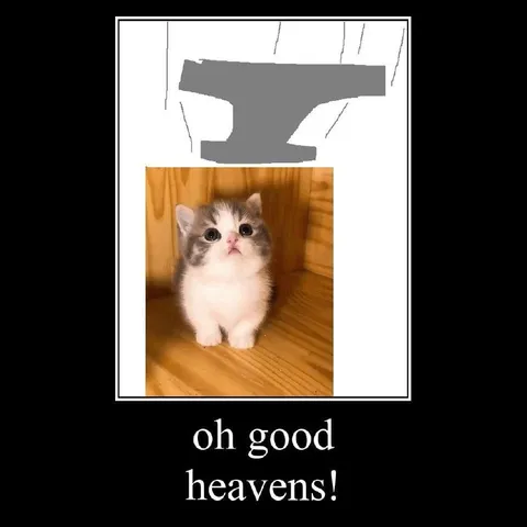 Oh Good Heavens Kitten
