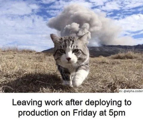 Cat Leaves After Friday Deployment