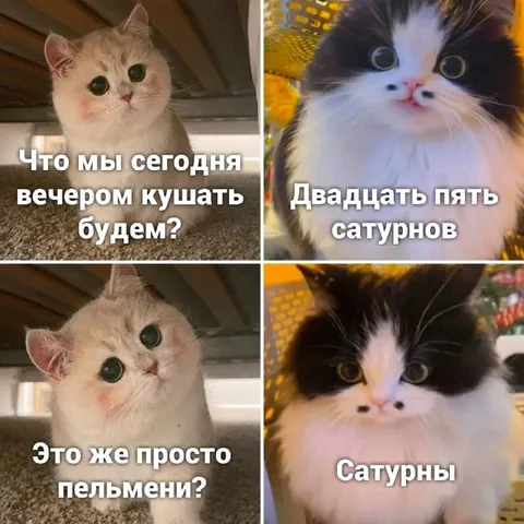 Двадцать пять сатурнов