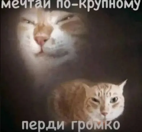 Мечтай по-крупному, перди громко