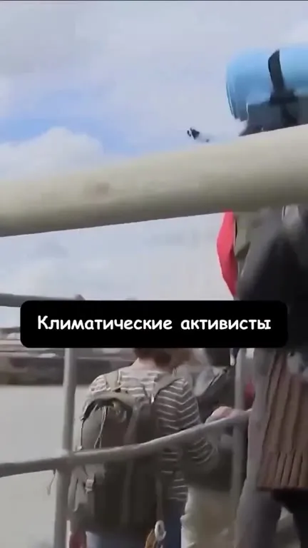 Климатические активисты и подсолнечное масло