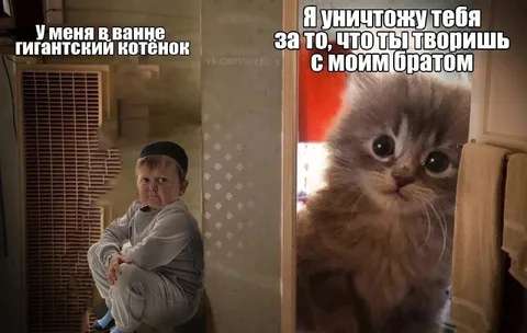 Гигантский котенок в ванне