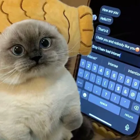 Sorry, I Have Bad Internet