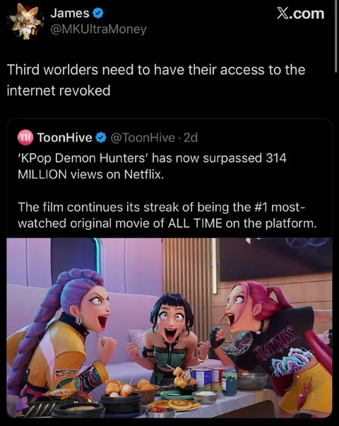 Third Worlders Lose Internet Access