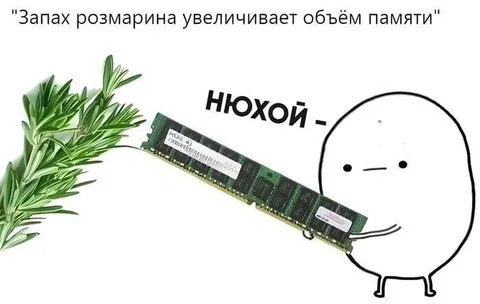 Нюхай оперативную память