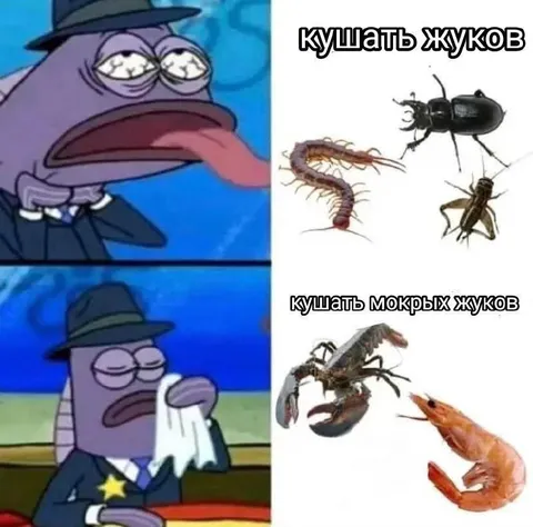 Кушать жуков и мокрых жуков