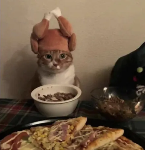 Кот в костюме за столом