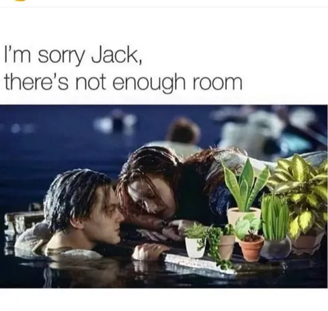 There’s Not Enough Room Jack