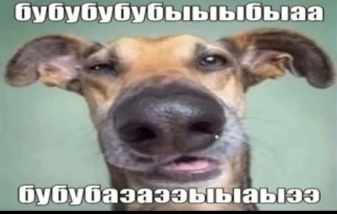 Собака бессвязно бубнит