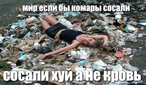 Комары сосут не кровь