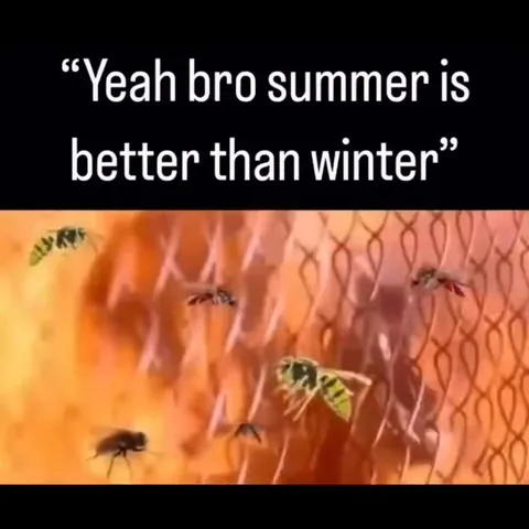 Summer Is Better Than Winter