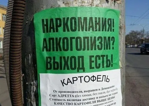 Картофель — выход есть