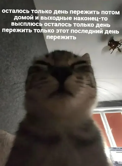 Остался последний день пережить