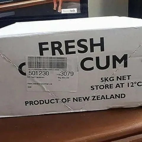 Fresh Cum New Zealand Box