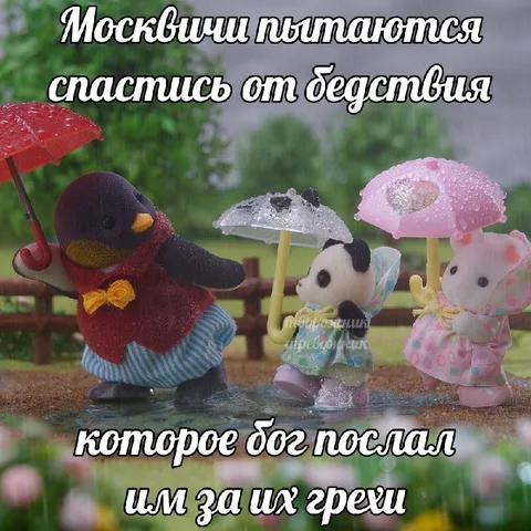 Москвичи спасаются от дождя