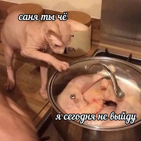 Я сегодня не выйду