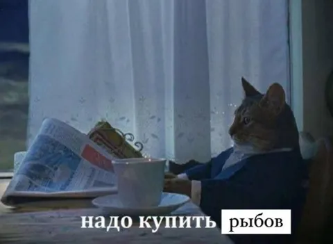 Кот решил купить рыбов