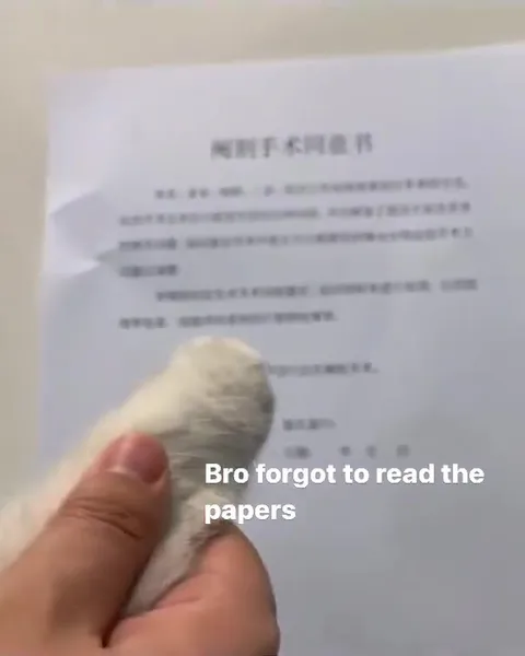 Bro Forgot to Read the Papers