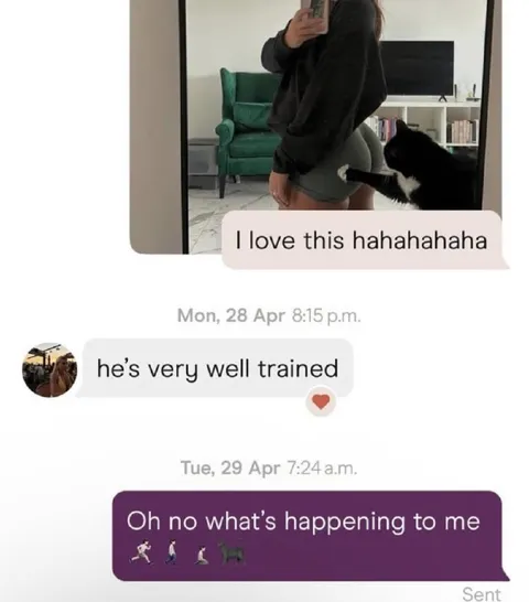 Very Well Trained Cat