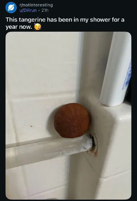 Tangerine in the Shower
