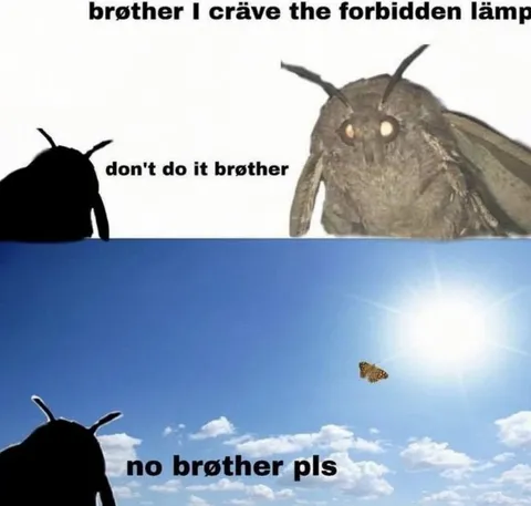 Moth Craves the Forbidden Lamp