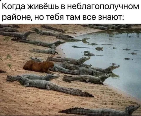 Знакомый неблагополучный район