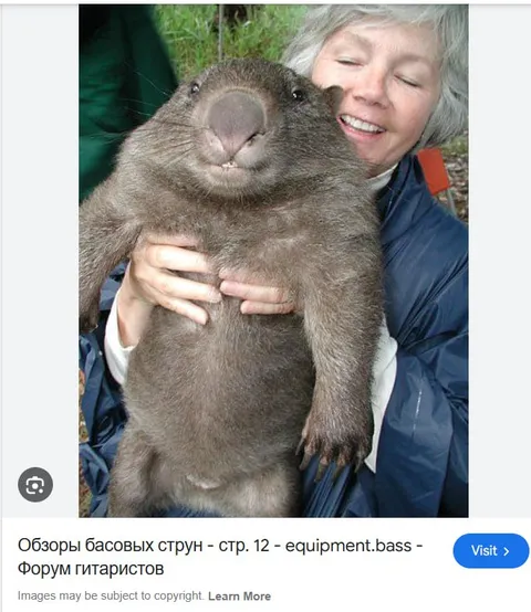 Женщина обнимает огромного вомбата