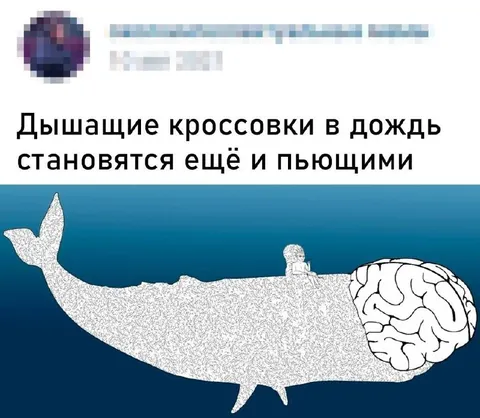 Дышащие кроссовки пьют дождь