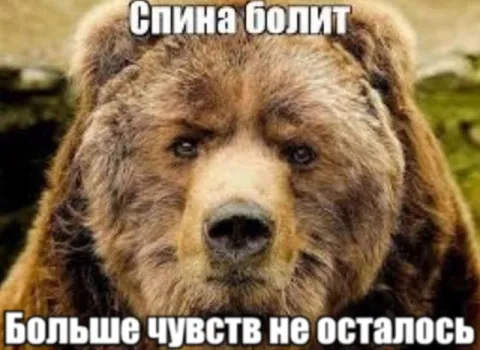 Спина болит, чувств не осталось