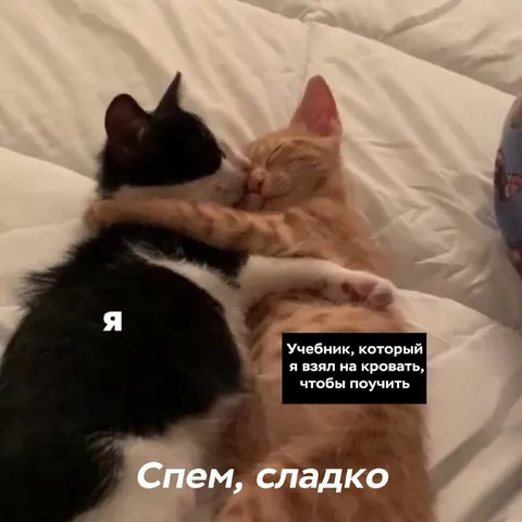 Учебник вместо сна