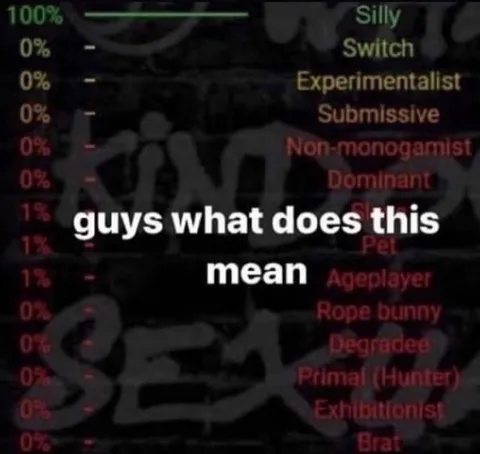 Guys What Does This Mean