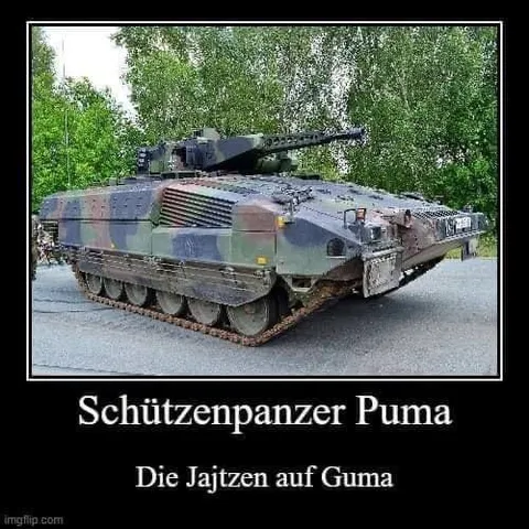 Puma und die Jajzen auf Guma