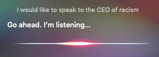 CEO of Racism