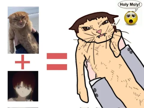 Angry Cat Anime Transformation