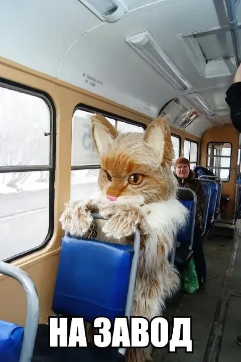 Кот едет на завод