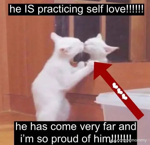 Cat Practicing Self Love