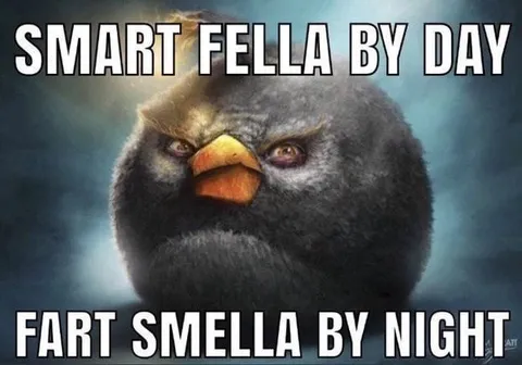 Smart Fella by Day