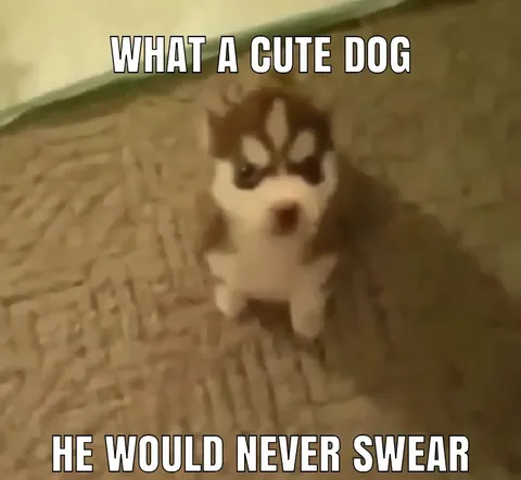 What a Cute Dog He Would Never Swear