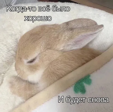 Когда всё снова будет хорошо
