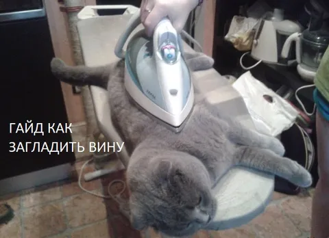 Как загладить вину утюгом