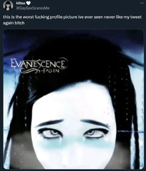 Worst Evanescence Profile Picture