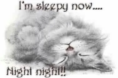 Sleepy Kitten Says Goodnight