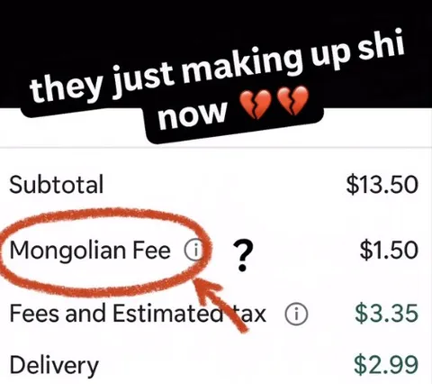 Mongolian Fee Confusion