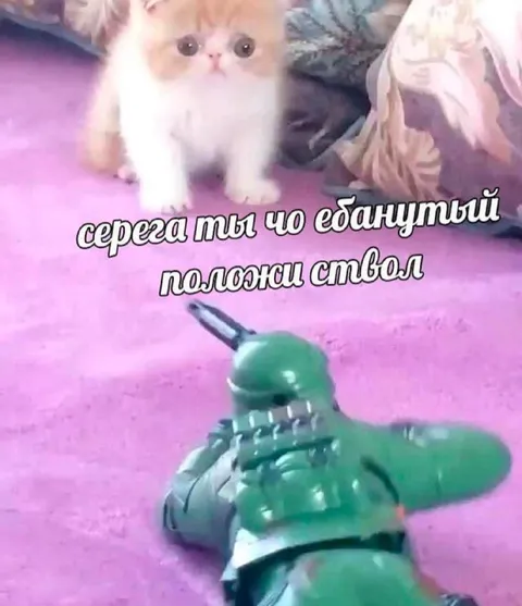 Серёга, положи ствол