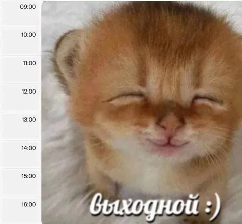 Выходной в 16:00